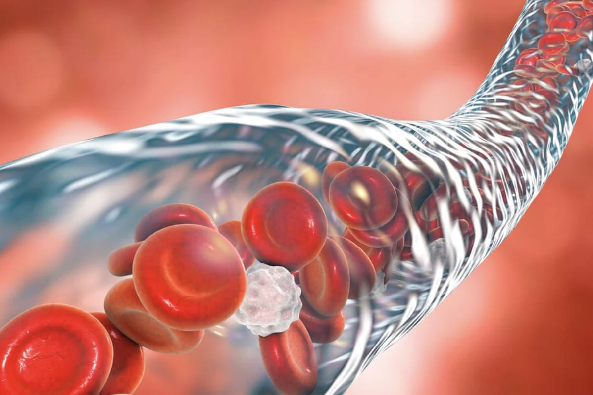 Screenshot 2025 11 10 at 11.03.13