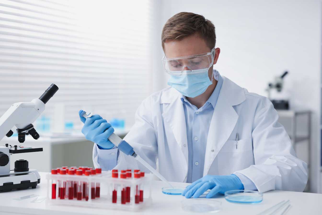 albumine-dans-le-sang-tout-savoir-sur-votre-taux-et-ce-qu-il-revele-guide-3