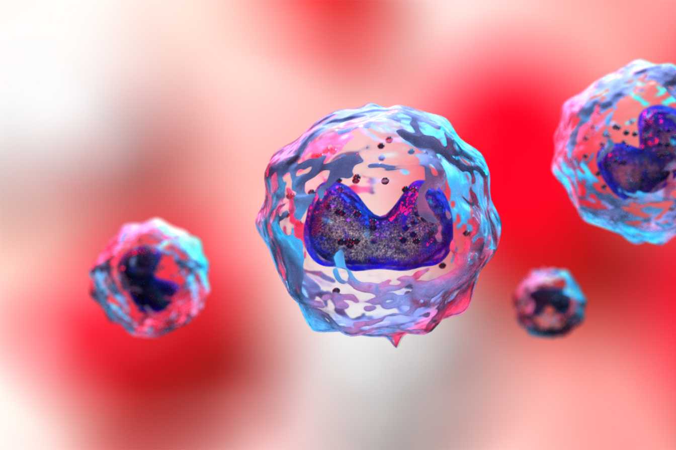 monocytes eleves et fatigue ce que votre corps essaie de vous dire 1