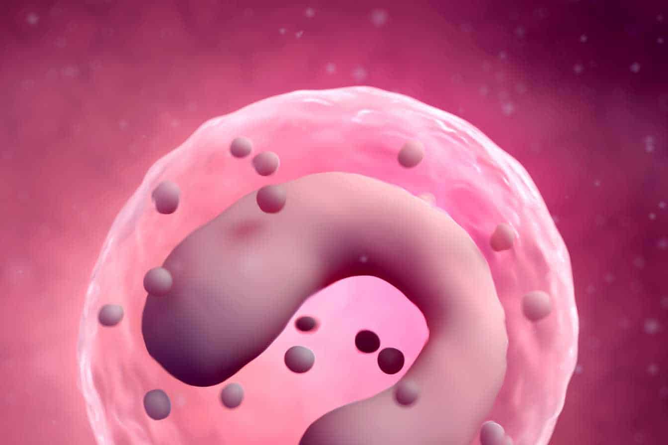 monocytes-eleves-et-fatigue-ce-que-votre-corps-essaie-de-vous-dire-2