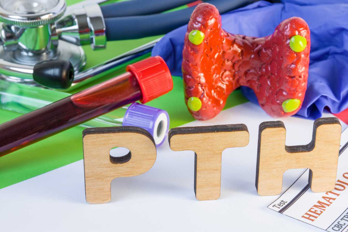 pth-prise-de-sang-tout-comprendre-sur-l-analyse-de-la-parathormone-3