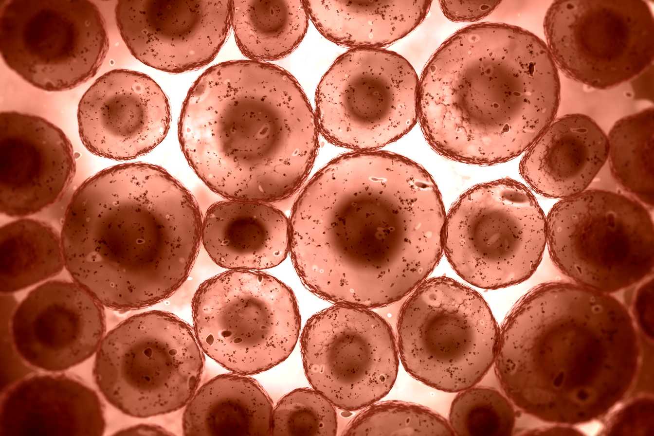 quel taux de leucocytes est inquietant 1