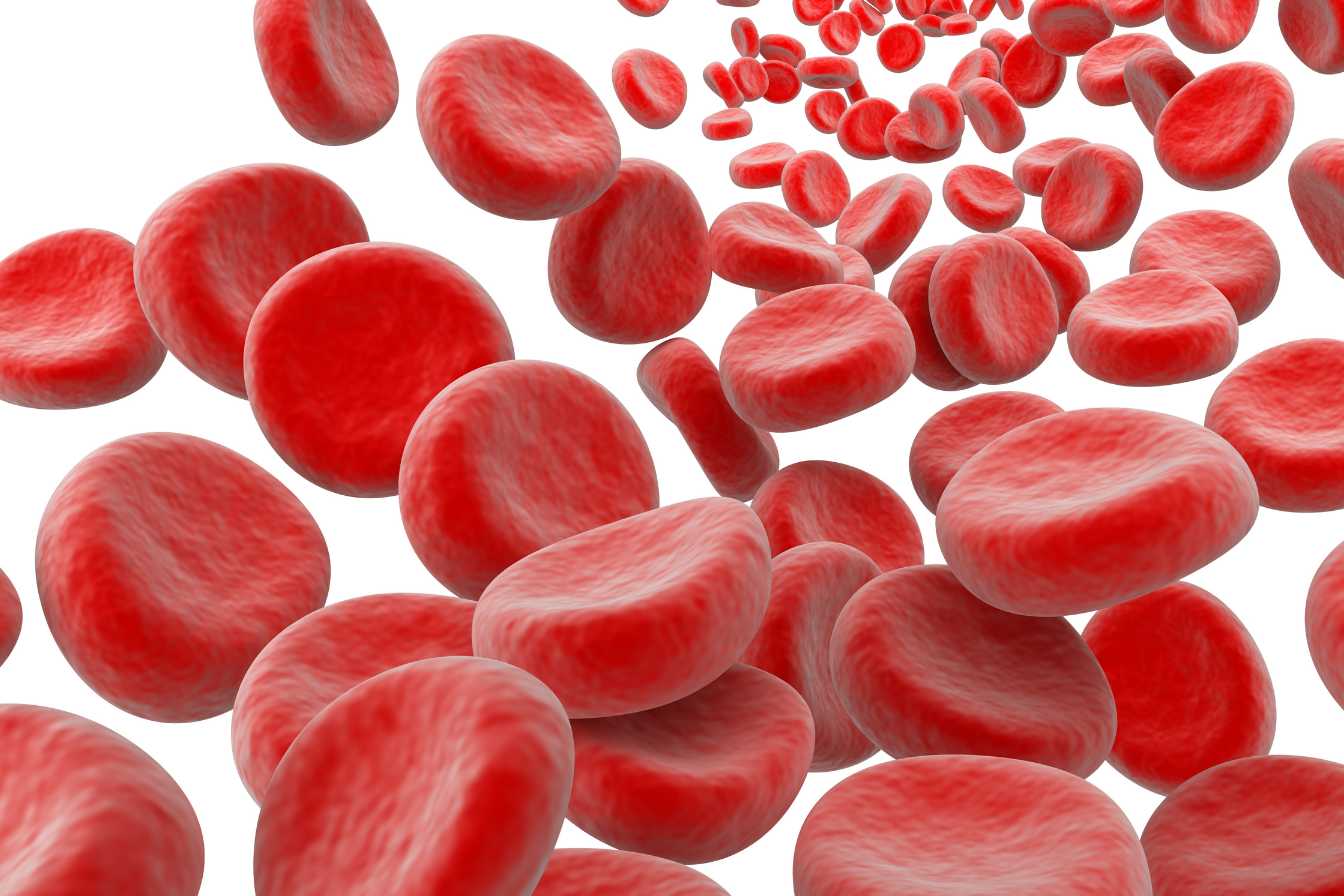 quel-taux-de-leucocytes-est-inquietant-2